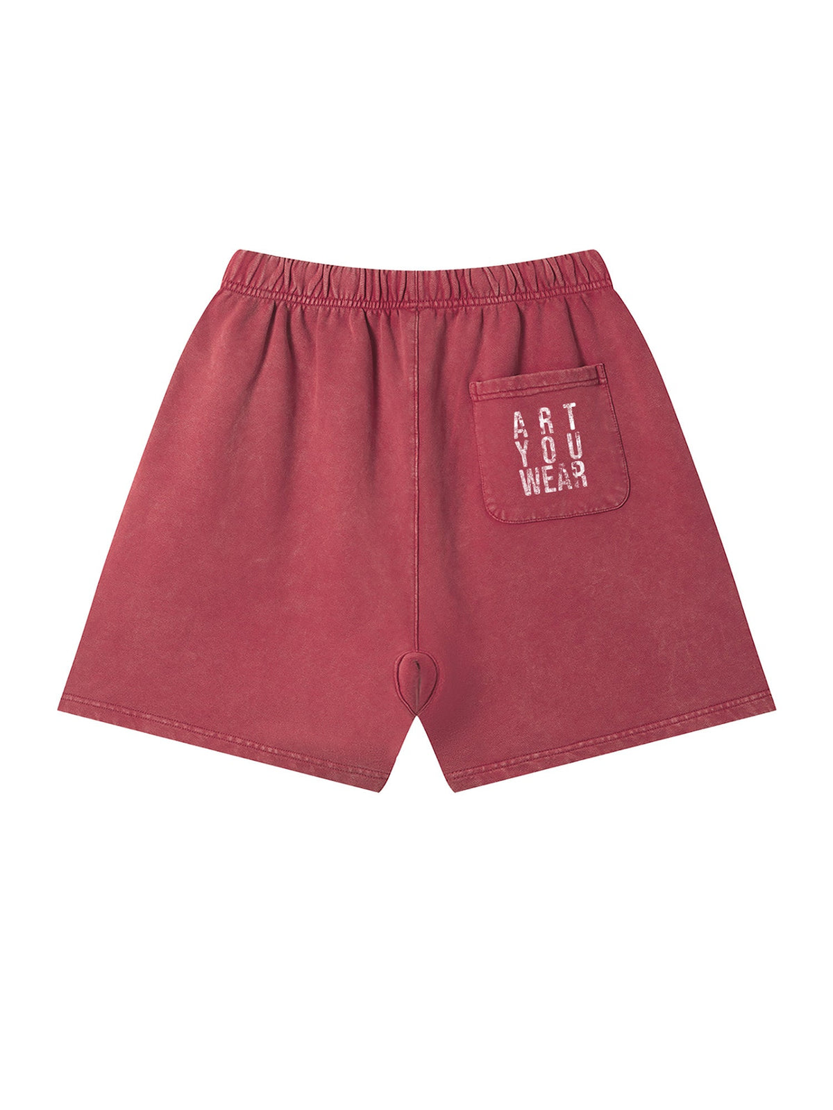 Art You Wear (AYW) Vintage Wash Shorts